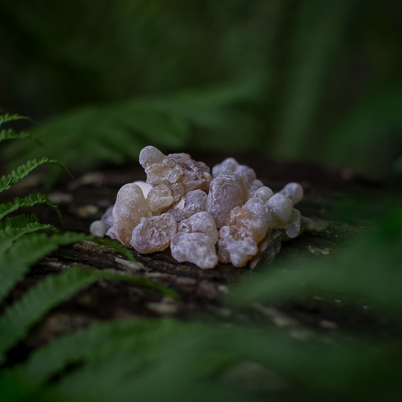 LUBÁLI Frankincense